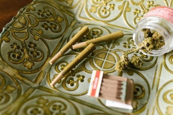 Cannabis Strains and Genetics