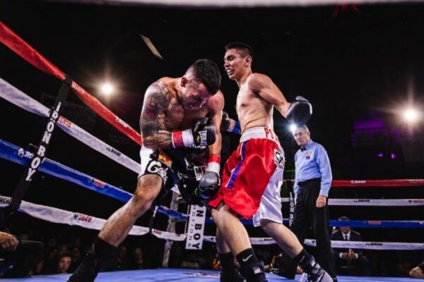 Combat Sports