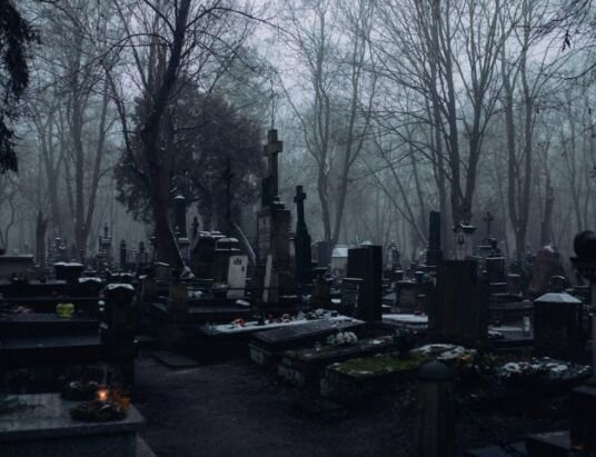 Death and Dismemberment Insurance