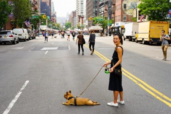 Pet-Friendly Travel