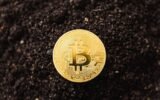 Authentication on the Blockchain