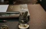 Cannabis Experience