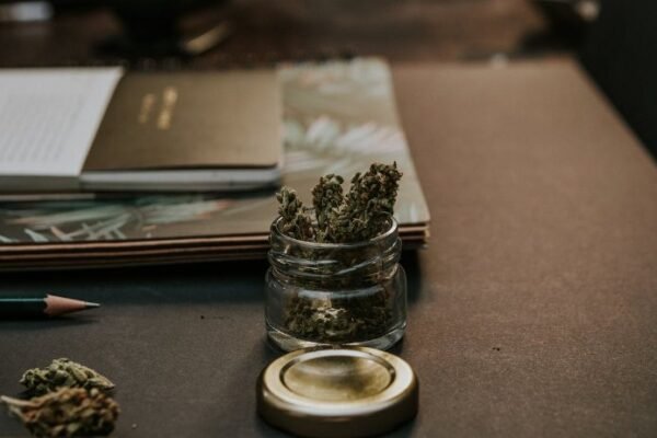 Cannabis Experience