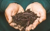 Composting and Soil Management