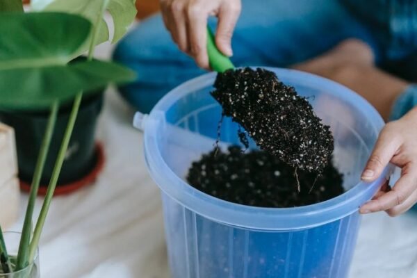 Container Gardening