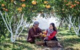 Fruit Gardening
