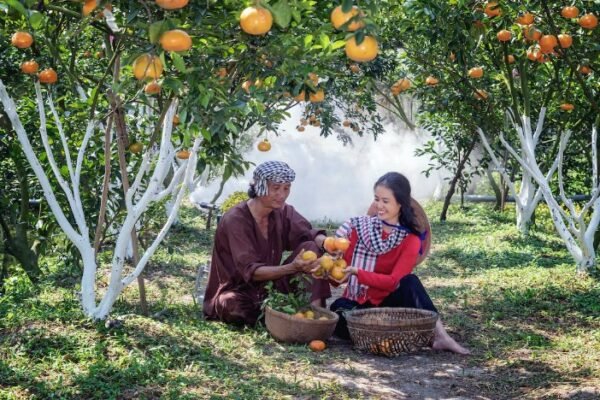 Fruit Gardening
