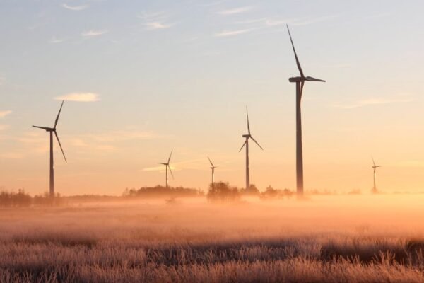 Fuel Efficiency and Alternative Energy Sources in Automotive