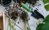 Garden Tools and Equipment