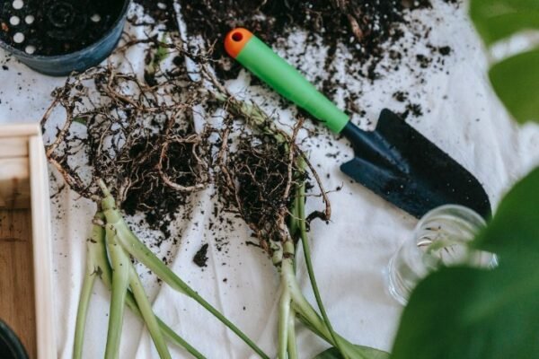Garden Tools and Equipment