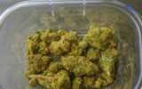 Recreational Cannabis