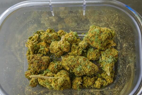 Recreational Cannabis