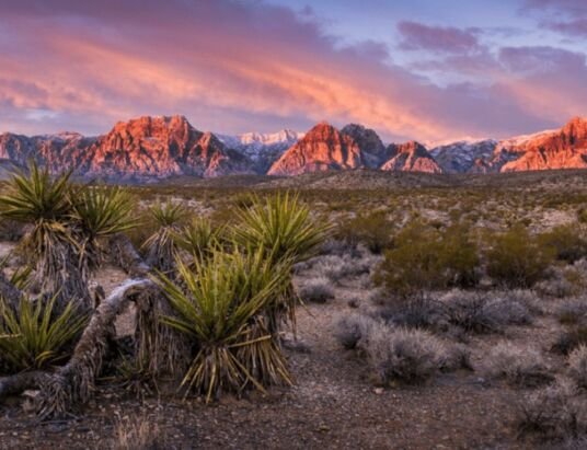 Benefits of Living in the Desert