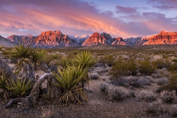 Benefits of Living in the Desert