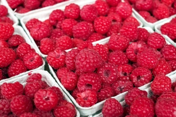 How Many Raspberries in an Ounce