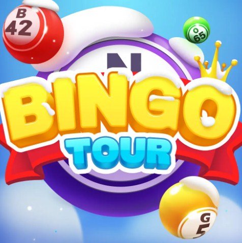 bingo tour app legit