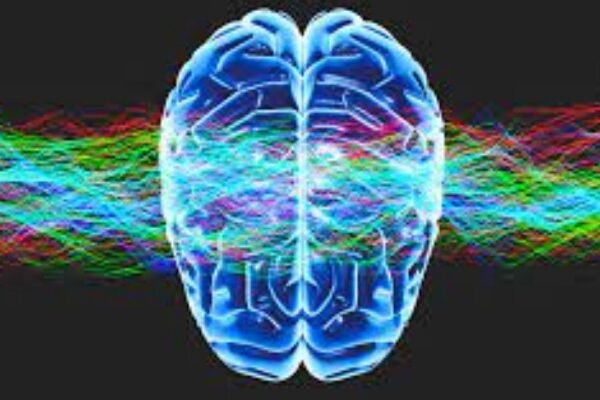 Using Your Brain for a Change