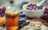 Which is Better: Tincture or Extract