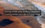 Doing What You Love, Loving What You Do