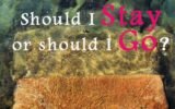 Should I Stay or Should I Go Release Date