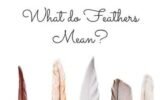 What Do White Feathers Mean