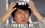 Why Are You Bullying Me