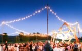American art with Summer Nights Party