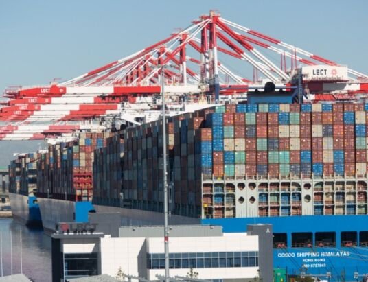 August amid supply chain woes and Covid fears