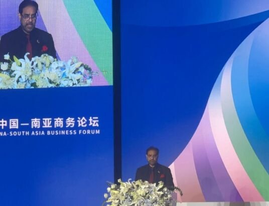 China-South Asia Business Forum in 2024