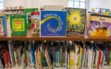 Georgia’s new law on school library books