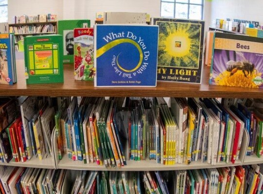 Georgia’s new law on school library books