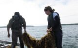 How Farmers and Fishers Are Sharing