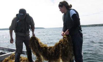 How Farmers and Fishers Are Sharing Knowledge to Boost Their Livelihoods