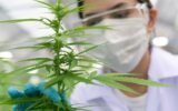 Medical Marijuana Saved a Teen’s Life