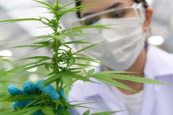Medical Marijuana Saved a Teen’s Life