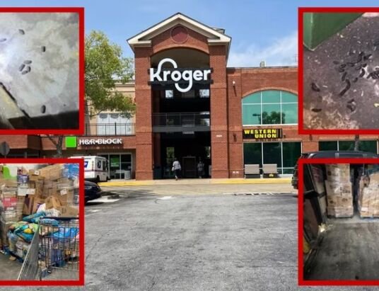 Metro Atlanta Kroger cleans up rat infestation after state finds evidence of rodents