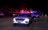 Savannah shooting