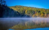 Three North Georgia Parks Compete