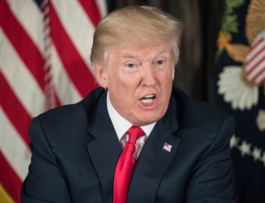 Trump faces backlash