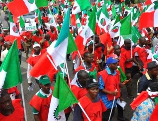 Nationwide strike cripples public services in Nigeria