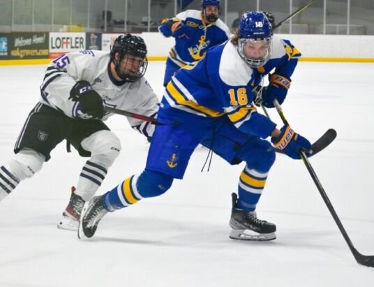 Rink Live partners with USA Hockey to bring college hockey polls to fans