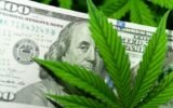 Senate Banking Committee to Vote on Cannabis Banking Bill