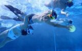 Underwater rugby players from Timmins make a splash in Boston