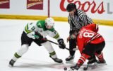 Canadian hockey players struggle to succeed in their home country