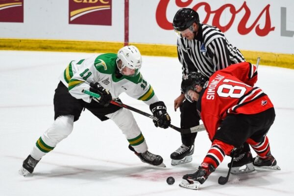 Canadian hockey players struggle to succeed in their home country