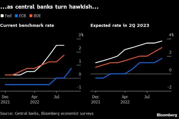 How Central Banks’ Interest Rate Hikes Threaten Renewable Energy