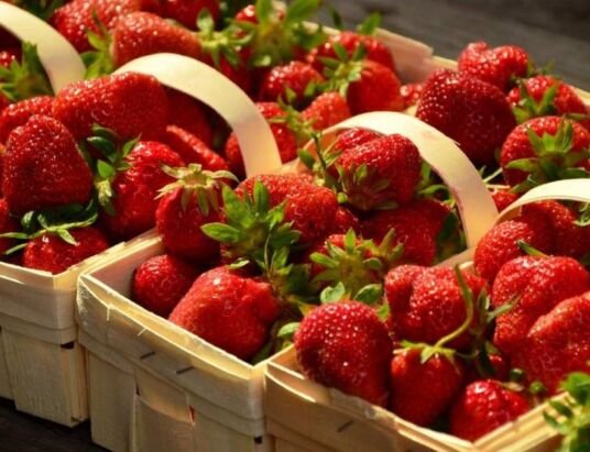 How technology can help reduce India’s post-harvest losses