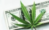 Senate Committee Approves Marijuana Banking Bill With New Amendments