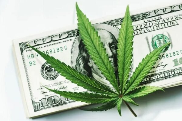 Senate Committee Approves Marijuana Banking Bill With New Amendments