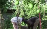 Britain’s Tech-Driven Approach to Tackle Global Hunger Faces Criticism